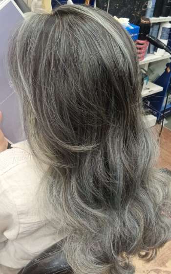 ash colour highlights